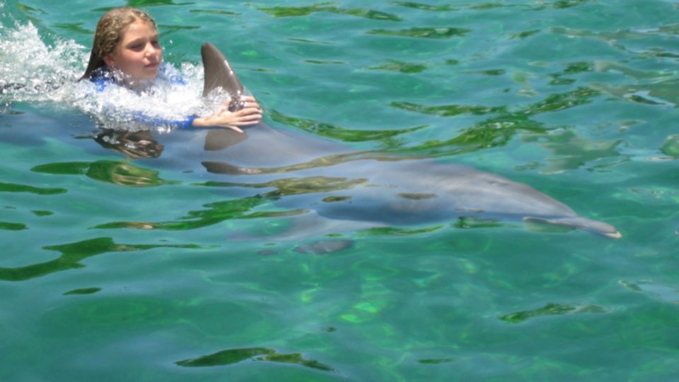 Miami: Swim With Dolphins Experience With Seaquarium Entry - Directions and Location Information