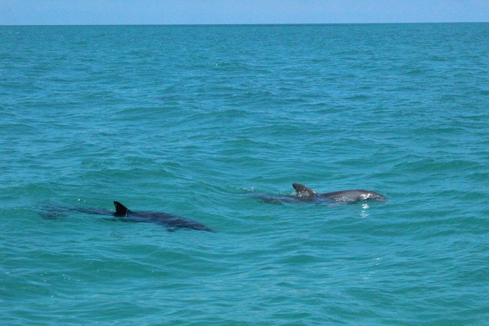 Miami to Key West Shuttle: Dolphin, Snorkeling & More - Directions