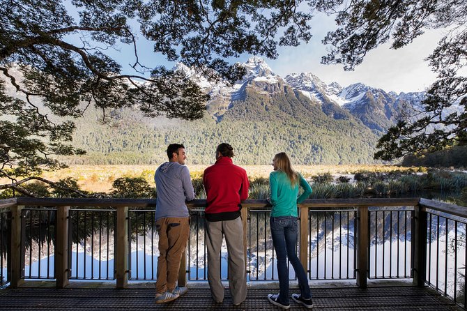 Milford Sound Coach and Cruise From Te Anau With Buffet Lunch - Tour Experience Summary