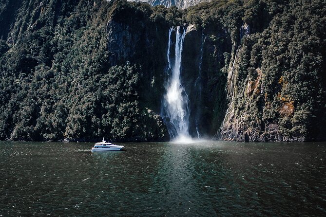 Milford Sound Cruise - Common questions