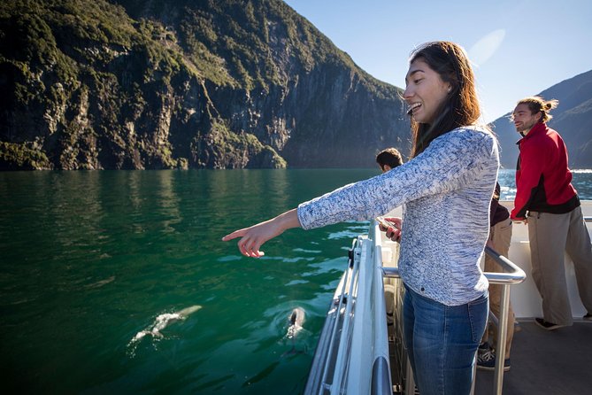 Milford Sound Sightseeing Cruise With Optional Picnic or Buffet - Last Words
