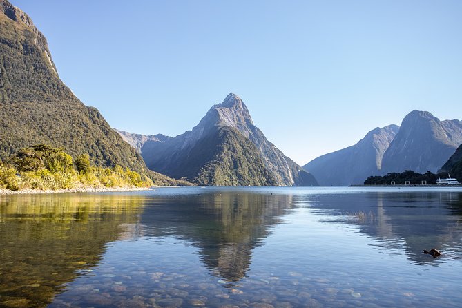 Milford Sound Small Group Tour From Queenstown With Scenic Flight - Pickup and Drop-off Information