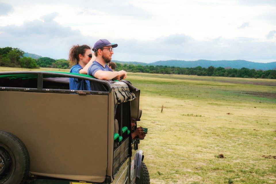 Minneriya Elephant Gathering Safari - Safari Experience