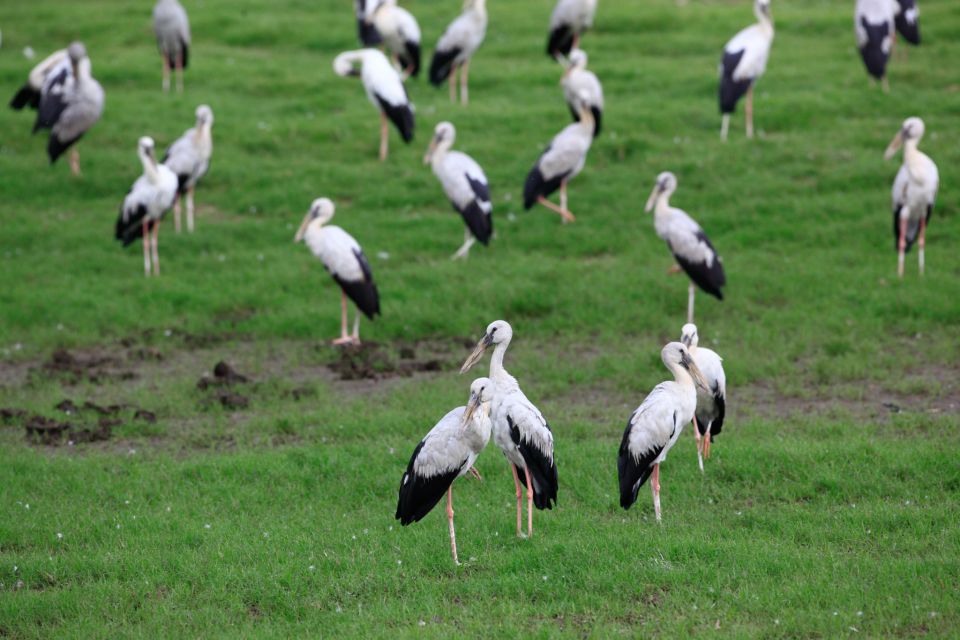 Minneriya National Park and Hiriwadunna Village Tour - Directions for Tour Participants