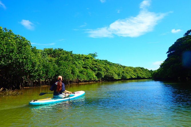 Miyara River 90-Minute Small-Group SUP or Canoe Tour (Mar ) - Cancellation Policy Details