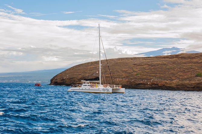 Molokini and Turtle Arches Snorkeling Trip From Maalaea Harbor - Common questions