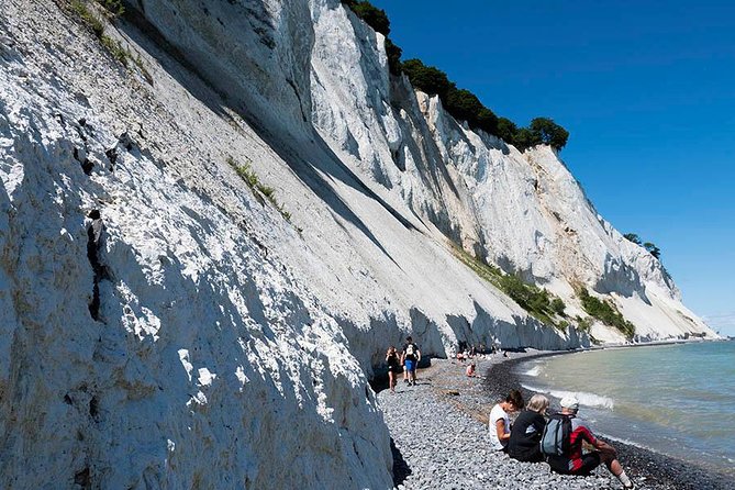 Møns Klint and the Forest Tower - a Day Tour From Copenhagen - Preparation Tips and Overall Experience