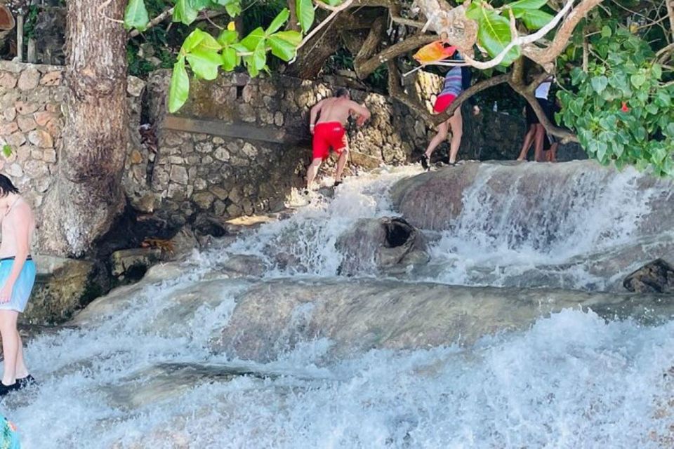 Montego Bay: Private Bob Marley and Dunn's River Falls Tour - Booking Information