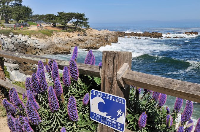 Monterey, Carmel and 17-Mile Drive: Full Day Tour From SF - Last Words