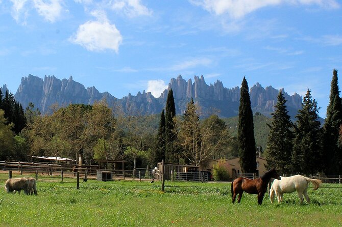 Montserrat Monastery & Horseback Riding - Scenic Horseback Riding Experience