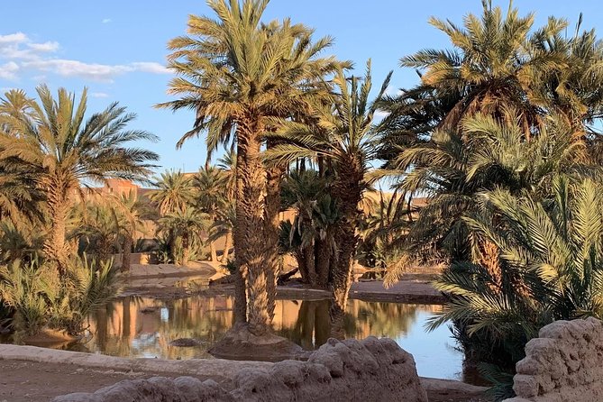 Moroccan Desert 3-Day Tour From Marrakech - Interactions With Local Guides