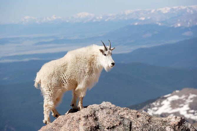 Mount Blue Sky (Mount Evans) Summit & Red Rocks Tour From Denver - Last Words