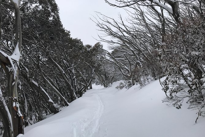 Mount Buller Snow Day Boutique Trip - Max 11 People - Common questions