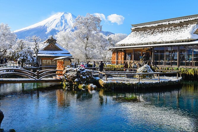 Mount Fuji & Hokane Lakes With English-Speaking Guide - Booking Process