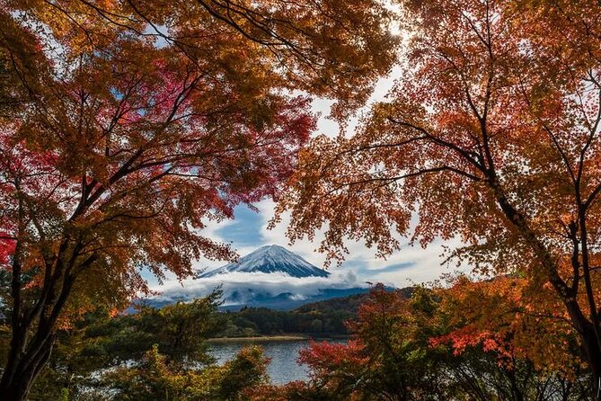 Mount Fuji Private Tour by Car With Pick-Up - Last Words