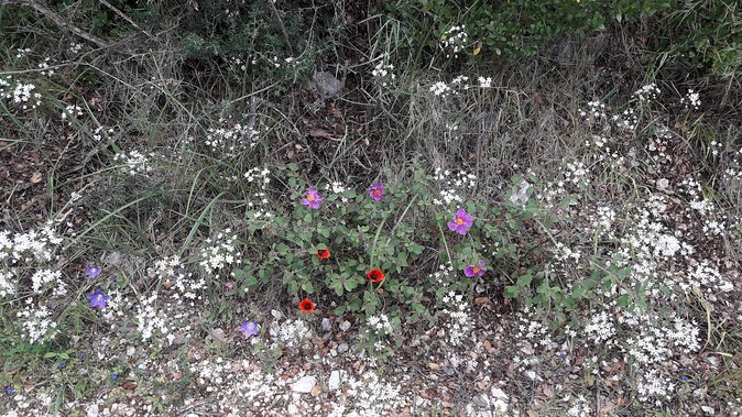 Mountain Biking in Corfu, Greece - Additional Information