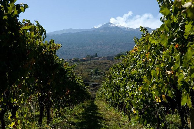 Mt Etna and Wine Tasting Tour From Catania - Cave Visit and Wine Sampling