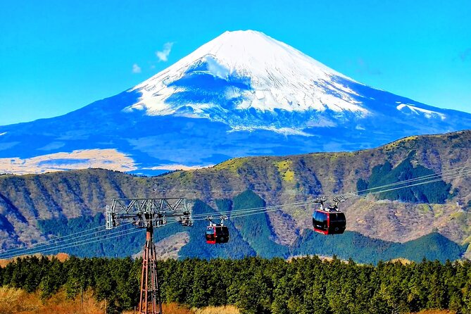 Mt Fuji and Hakone 1-Day Bus Tour Return by Bus - Recommendations and Feedback