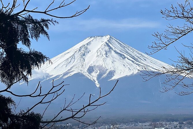 Mt. Fuji and Lake Kawaguchi Day Trip With English Speaking Driver - Frequently Asked Questions