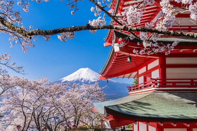 Mt. Fuji Area Tour Tokyo DEP: English Speaking Driver, No Guide - Pricing Details