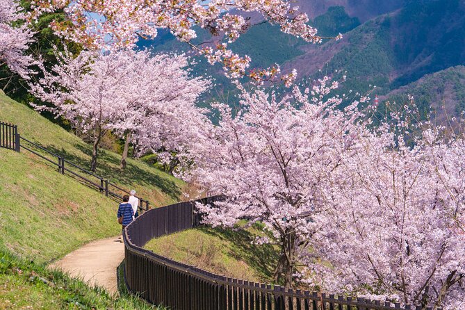 Mt. Fuji Cherry Blossom One Day Tour From Tokyo - Departure Point
