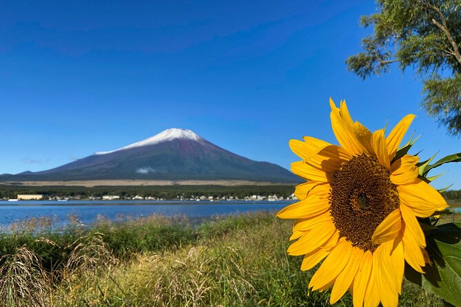 Mt Fuji Crafts Village and Lakeside Kid-Friendly Bike Tour - Last Words