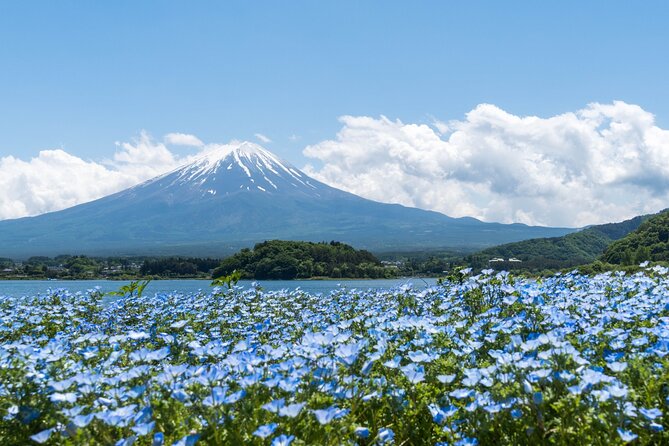 Mt. Fuji Day Trip Bus Tour From Tokyo - Traveler Reviews