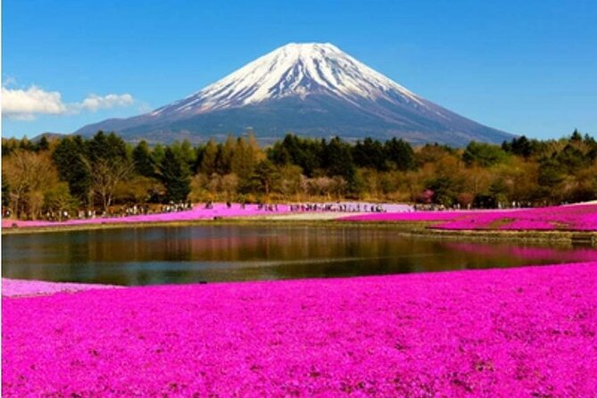 Mt Fuji, Hakone Private Tour by Car With Pickup - Traveler Photos Inclusion