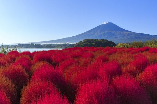 Mt. Fuji, Mt Fuji Panoramic Ropeway & Seasonal Fruits Picking - Common questions