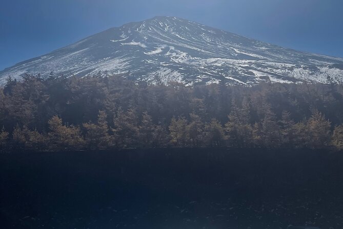 Mt. Fuji Private Tour With English Speaking Driver - Guide and Driver Expertise