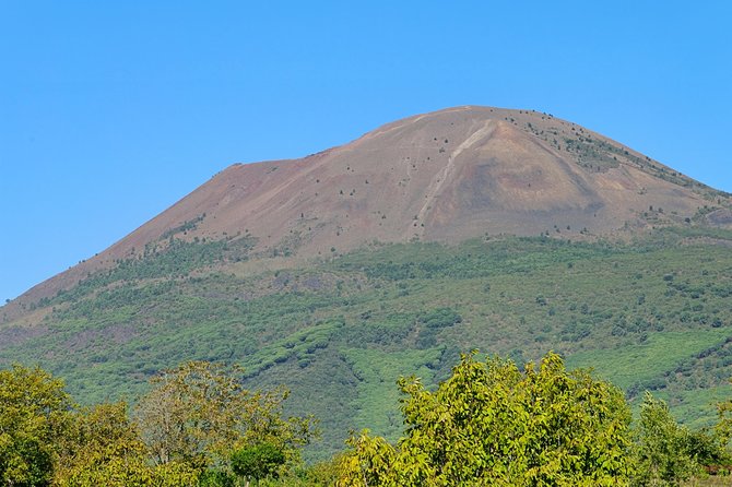 Mt Vesuvius Half-Day Trip From Naples - Meeting Points and Pickup Details