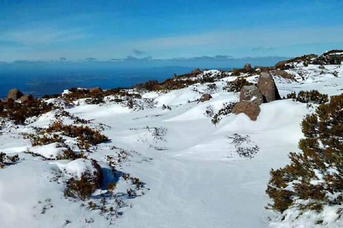 Mt Wellington Ultimate Experience Tour From Hobart - Common questions