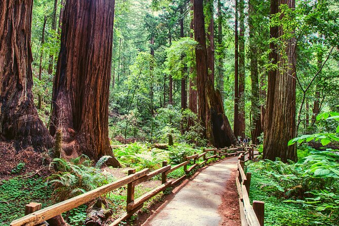 Muir Woods and Sausalito Half Day Tour - Last Words