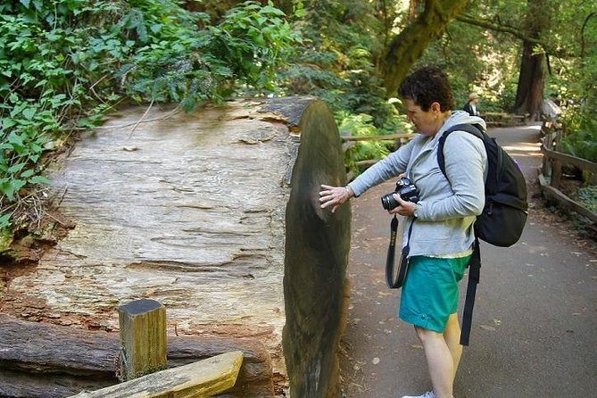 Muir Woods Tour of California Coastal Redwoods (Entrance Fee Included) - Highlights and Inclusions