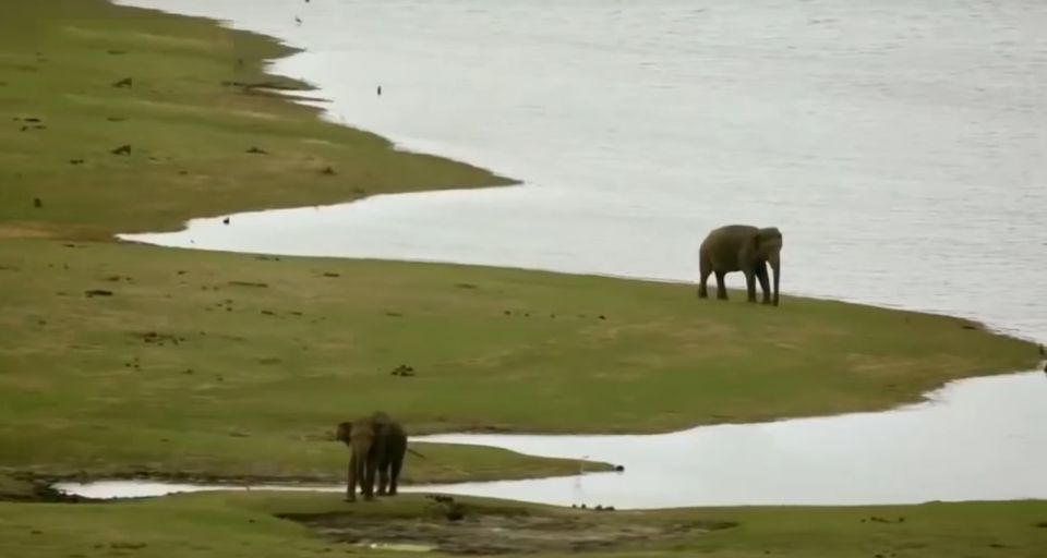 Multi-Day Tour: Udawalawe National Park Elephant Safari - Common questions