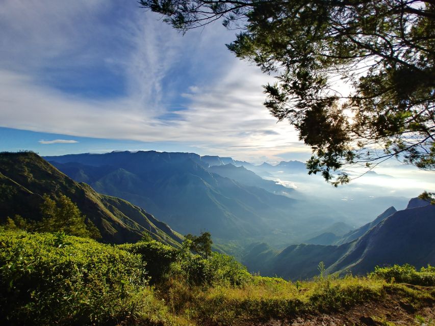 Munnar Private Day Trip - Stops and Visits