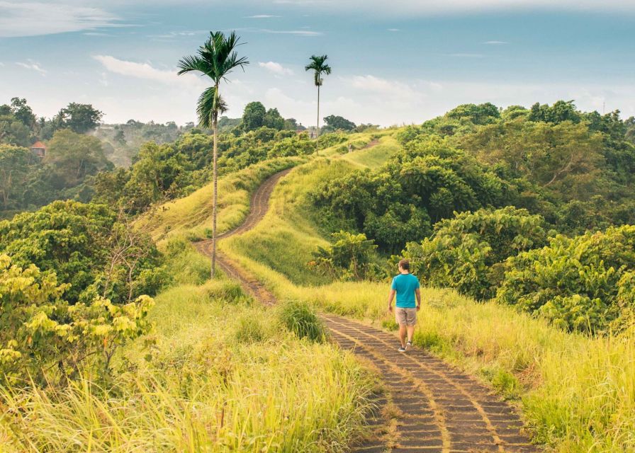 Must-Do Tours in Bali: Mt. Batur, Nusa Penida & Instagram - Additional Information