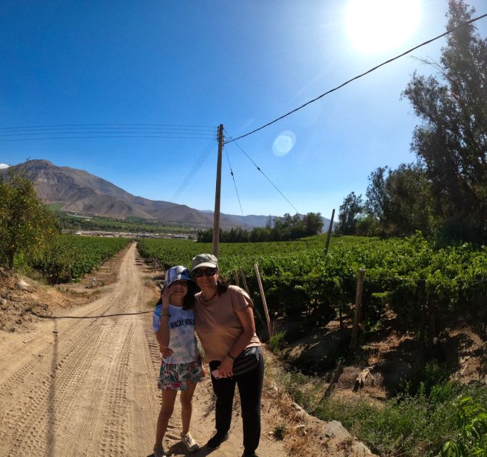 Must-sees of the Elqui Valley - Wine and Pisco Tastings