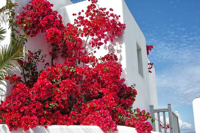 Mykonos Small-Group Tour With Mykonian Guide - Directions