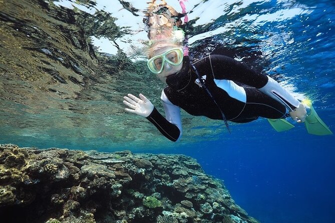 Naha: Full-Day Snorkeling Experience in the Kerama Islands, Okinawa - Health and Safety Guidelines