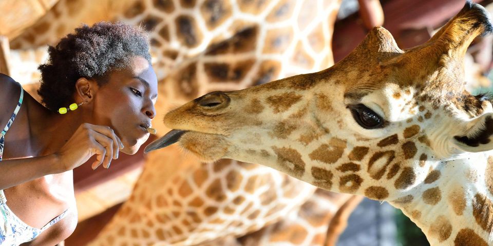 Nairobi National Park, Baby Elephant & Giraffe Center Tour - Booking Flexibility