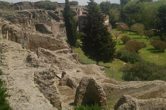 Naples Shore Excursion: Pompeii Half Day Trip From Naples - Last Words