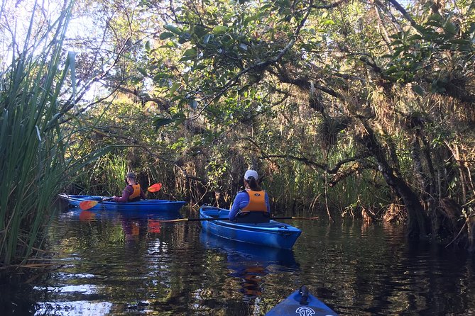 Naples Small-Group Half-Day Everglades Kayak Tour (Mar ) - Safety Measures and Equipment Provided