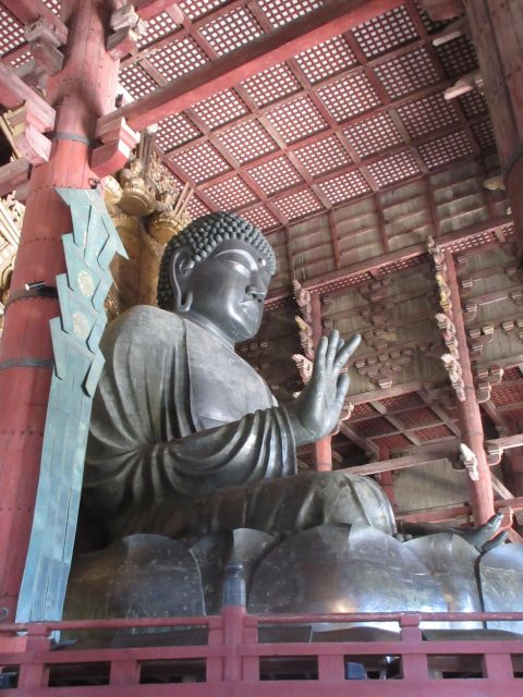 Nara: Giant Buddha, Free Deer in the Park (Italian Guide) - Itinerary Overview