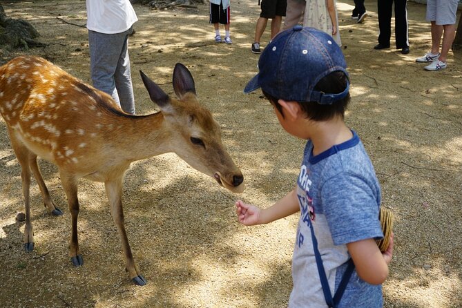 Nara Half Day Walking Tour - Common questions