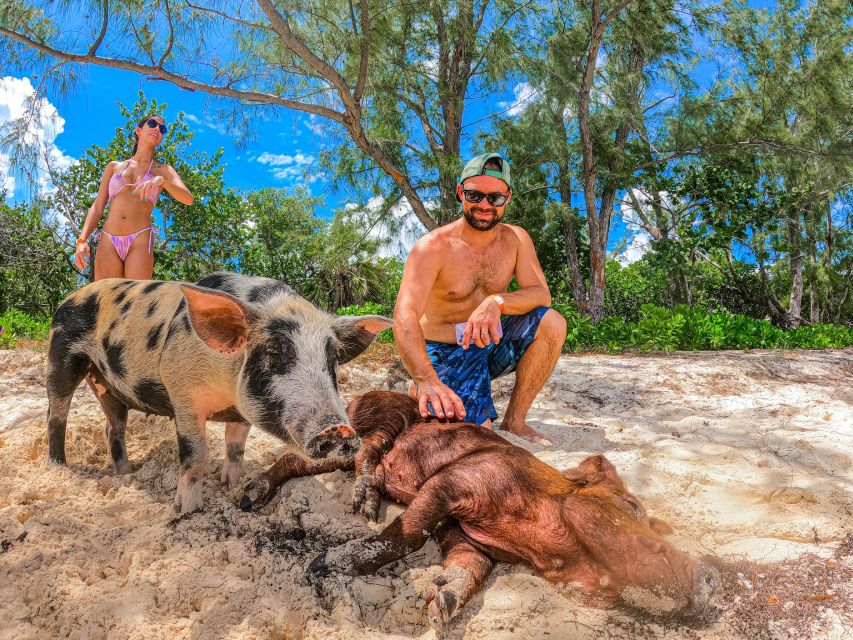 Nassau: Sun Cay and Swimming Pigs Boat Trip With Lunch - Common questions