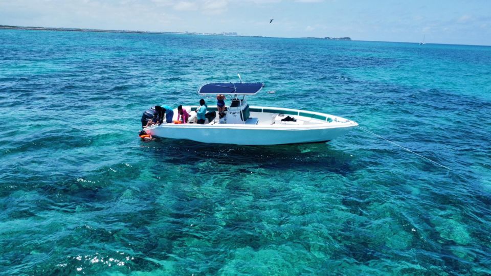 Nassau: Swimming Pigs Private Boat Tour - Up to 7 Persons - Common questions