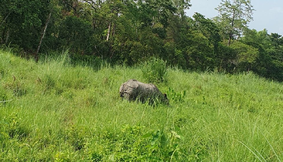 Nature Jungle Safari in Chitwan National Park 2 Night 3 Days - Common questions