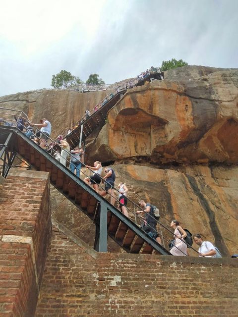 Negombo: Sigiriya Rock and Minneriya National Park Day Tour - Booking Information