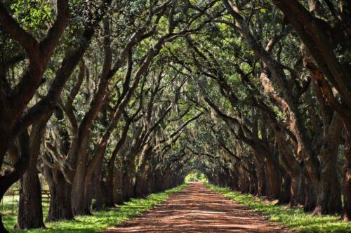 New Orleans: Destrehan Plantation, Houmas House & Lunch - Houmas House Tour